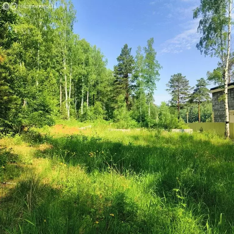 Участок в Марковское муниципальное образование, посёлок Падь ... - Фото 0