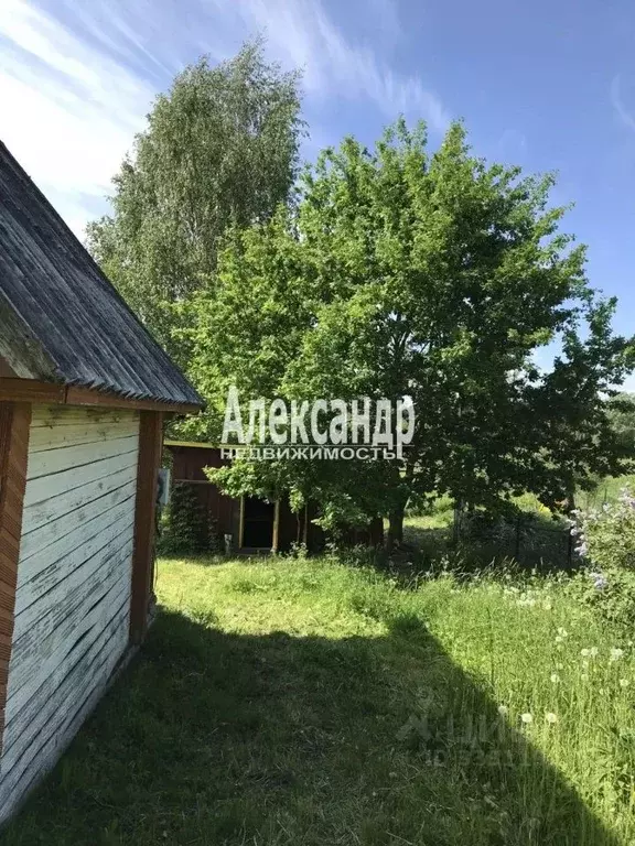 Участок в Новгородская область, Валдайский муниципальный округ, ... - Фото 1