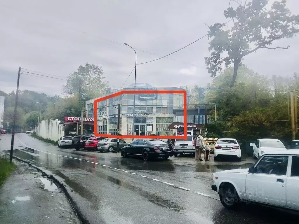 Помещение свободного назначения в Краснодарский край, Сочи городской ... - Фото 1