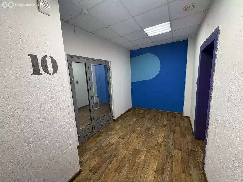 Помещение свободного назначения (295.3 м) - Фото 1