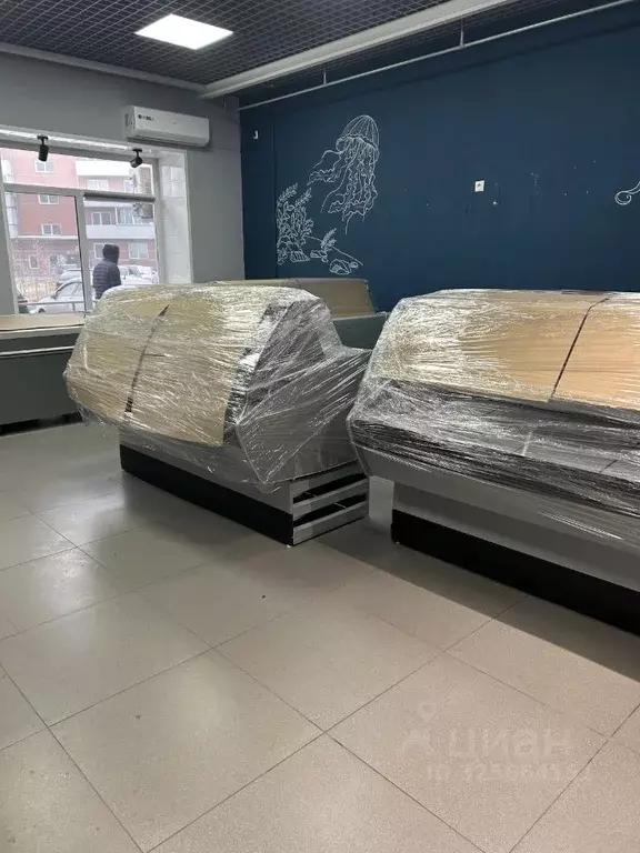 Торговая площадь в Хакасия, Абакан ул. Некрасова, 45 (60 м) - Фото 2