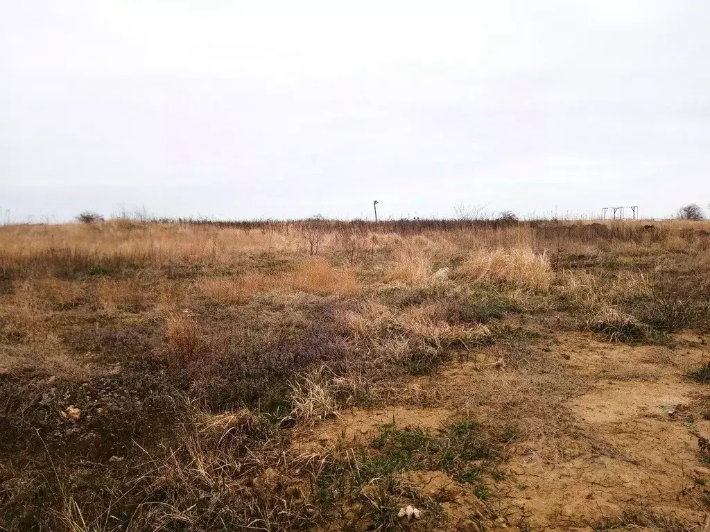 Участок в Краснодарский край, Темрюк ул. Аллейная (7.5 сот.) - Фото 2