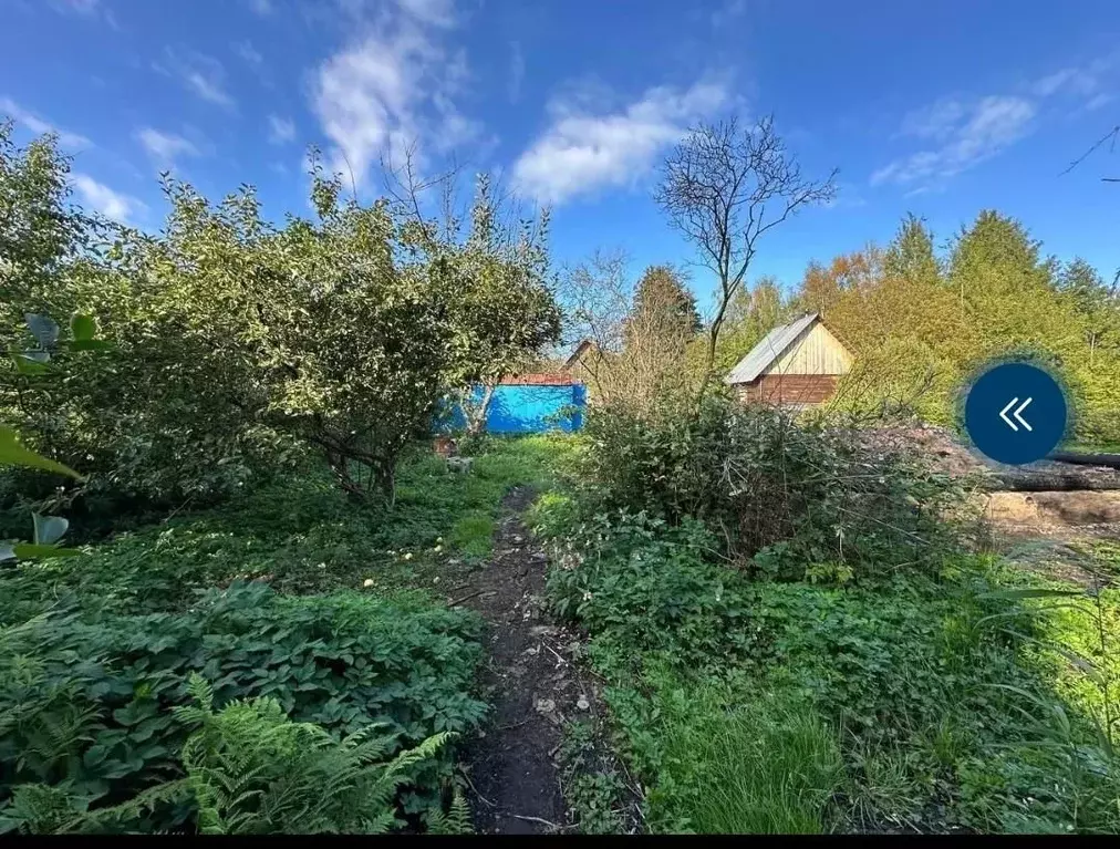 Участок в Ленинградская область, Кировский район, Синявинское ... - Фото 2