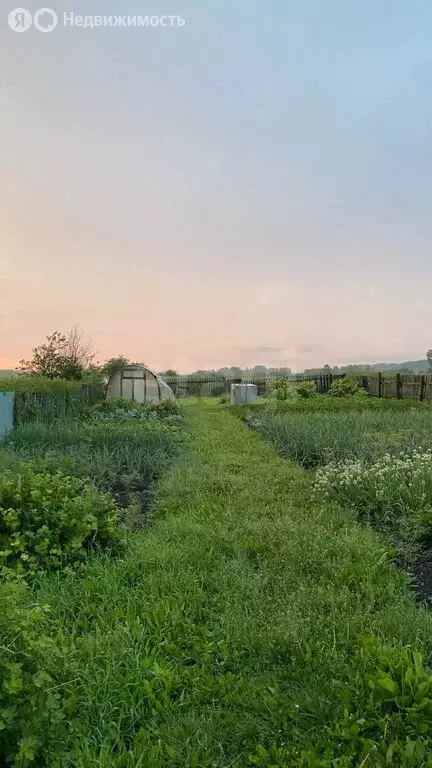 Дом в село Новая Заимка, Береговая улица (17 м) - Фото 2