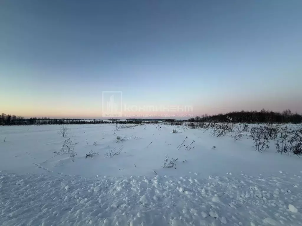Участок в Владимирская область, Ковровский муниципальный округ, д. ... - Фото 2