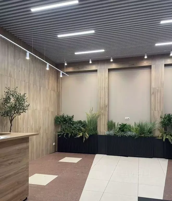 Помещение свободного назначения в Новосибирская область, Новосибирск ... - Фото 2