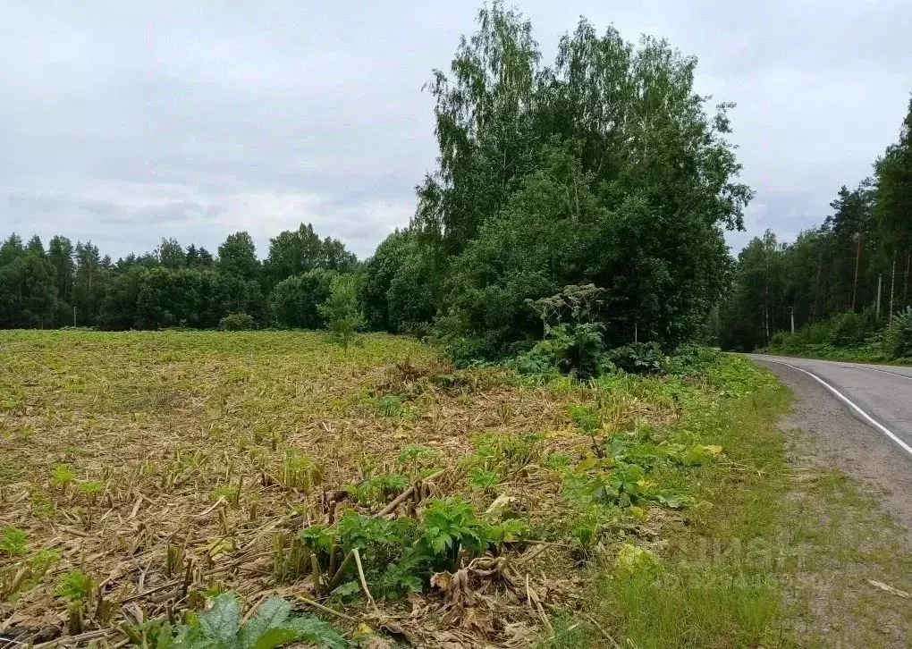 Участок в Ленинградская область, Выборгский район, Рощинское городское ... - Фото 1