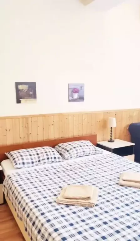 Дом в Краснодарский край, Сочи городской округ, с. Горное Лоо  (260 м) - Фото 1