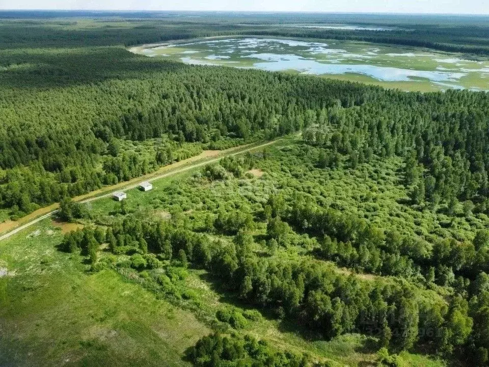 Участок в Тюменская область, Нижнетавдинский муниципальный округ, ... - Фото 1