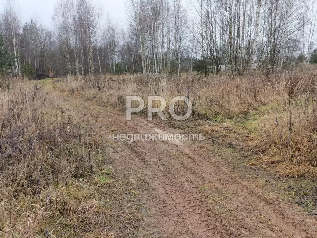 Участок в Ярославская область, Ярославский муниципальный округ, д. ... - Фото 1