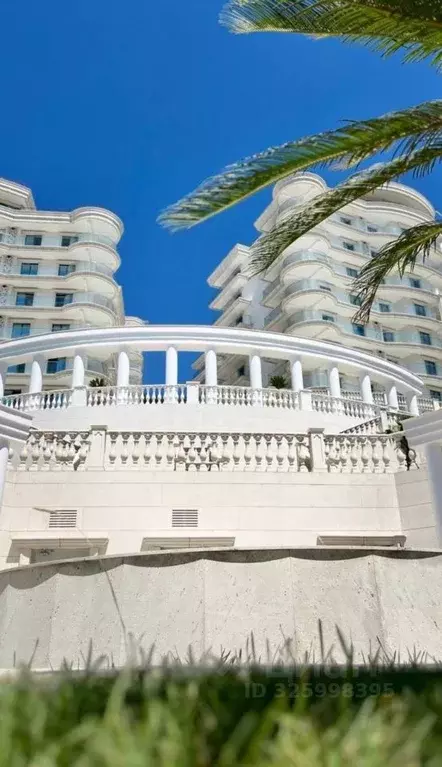 Свободной планировки кв. Краснодарский край, Сочи ул. Володарского, ... - Фото 2