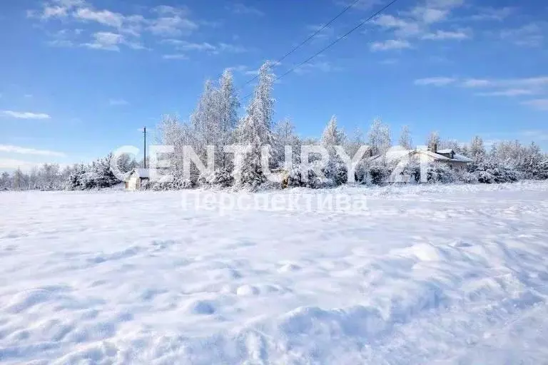 Участок в Московская область, Раменский муниципальный округ, с. ... - Фото 2