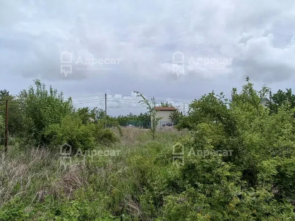 Участок в Волгоградская область, Городищенский район, Ерзовское ... - Фото 0
