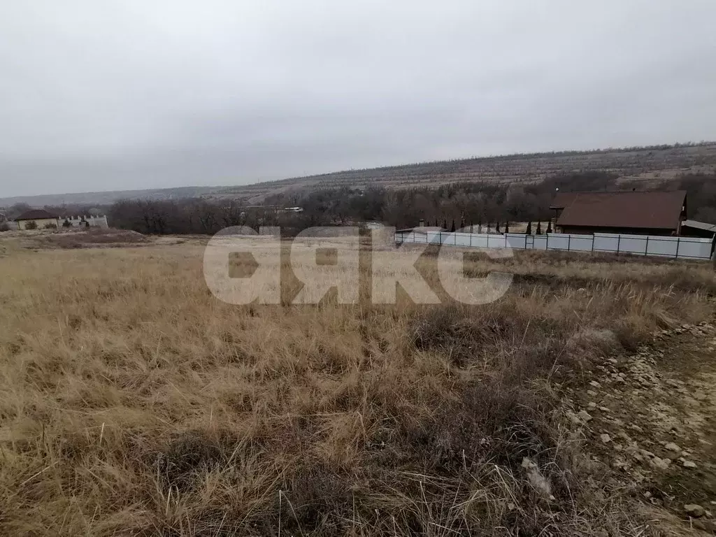 Участок в Волгоградская область, Городищенский район, Царицынское ... - Фото 1
