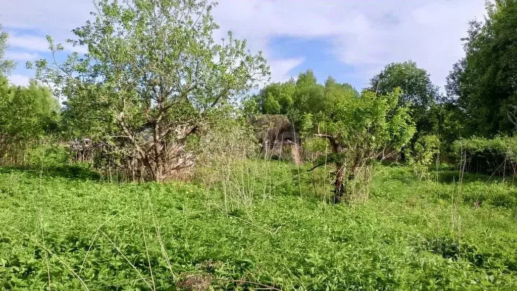 Таунхаус в Костромская область, Костромской район, Шунгенское с/пос, ... - Фото 2