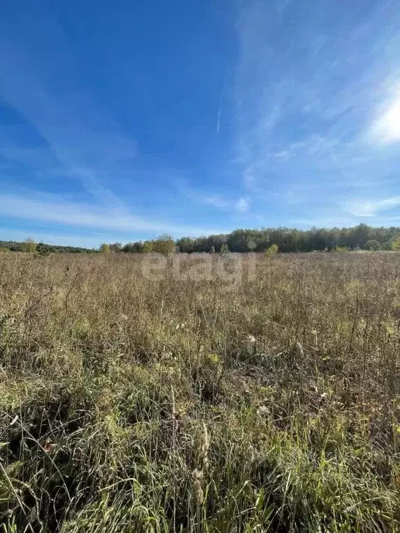 Участок в Калужская область, Медынский район, д. Романово  (20.0 сот.) - Фото 2