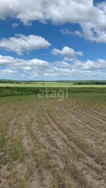 Участок в Липецкая область, Хлевенский район, Елец-Маланинский ... - Фото 0