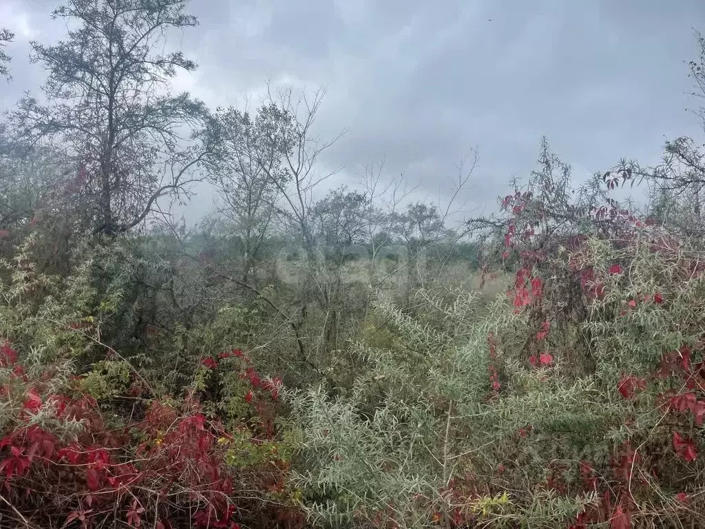 Участок в Северная Осетия, Алагир ул. Караева (5.0 сот.) - Фото 2