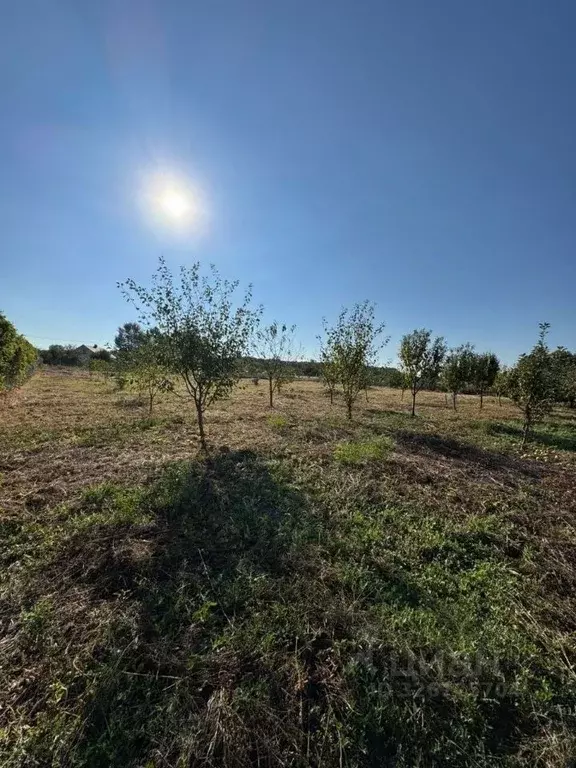 Дом в Краснодарский край, Северский район, Новодмитриевское с/пос, ... - Фото 2