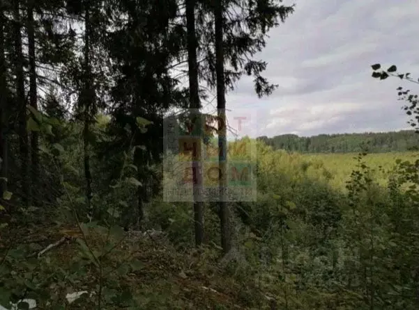 Купить Дачу У Воды Катунино Архангельск Авито