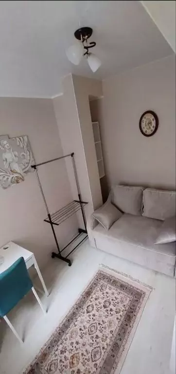 1-к кв. Краснодарский край, Сочи ул. Ручей Видный, 56 (31.0 м) - Фото 2