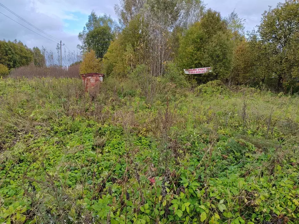 Участок в Тверская область, Торжокский муниципальный округ, д. Сельцо ... - Фото 2