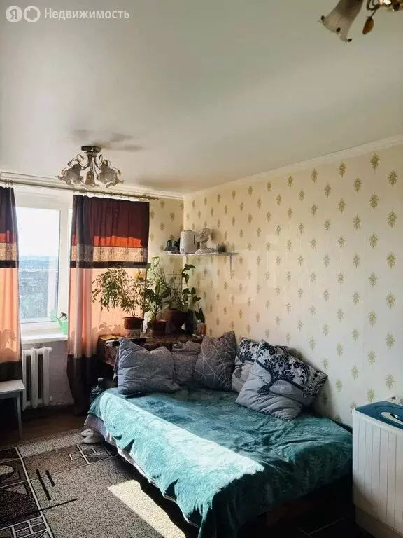 1-комнатная квартира: Чита, Геодезическая улица, 42В (29 м) - Фото 1