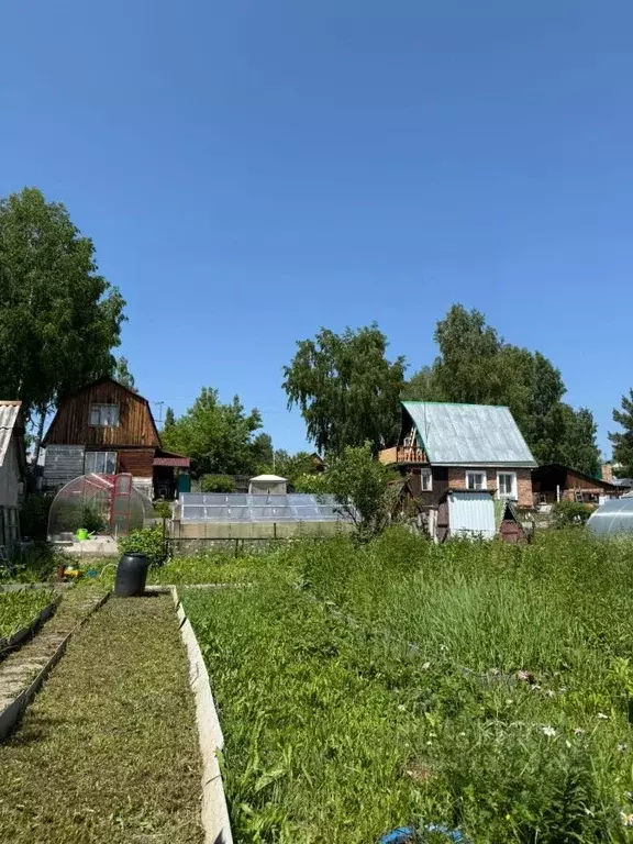 Дом в Новосибирская область, Новосибирский район, Новолуговской ... - Фото 1