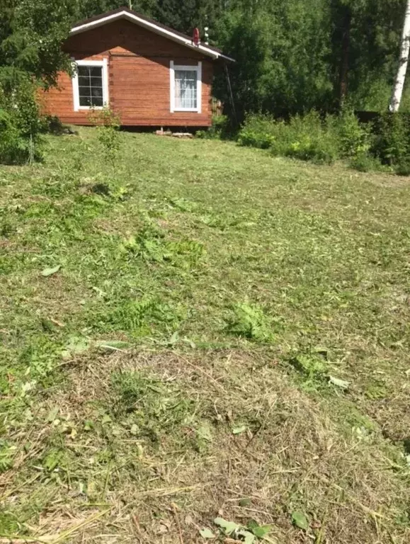 Дом в Иркутская область, Иркутский муниципальный округ, Светлое СНТ ... - Фото 2