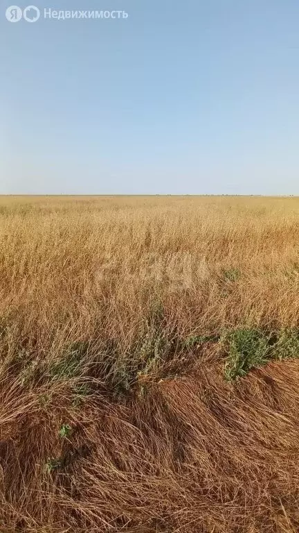 Участок в Сакский район, село Веселовка (25.32 м) - Фото 0