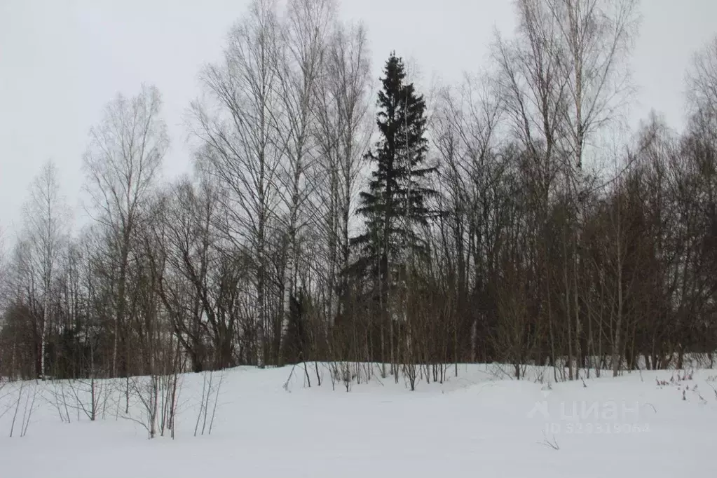 Участок в Московская область, Шаховская муниципальный округ, д. ... - Фото 1