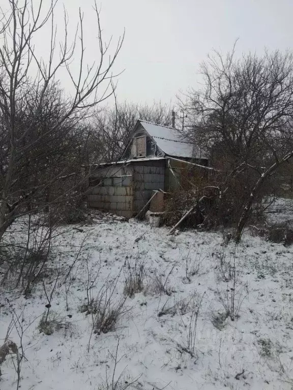 Участок в Ростовская область, Мясниковский район, Большесальское ... - Фото 2