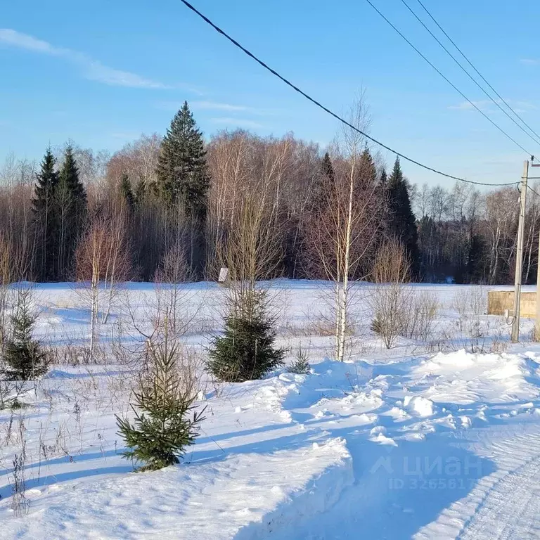 Участок в Московская область, Клин городской округ, д. Давыдково ул. ... - Фото 2