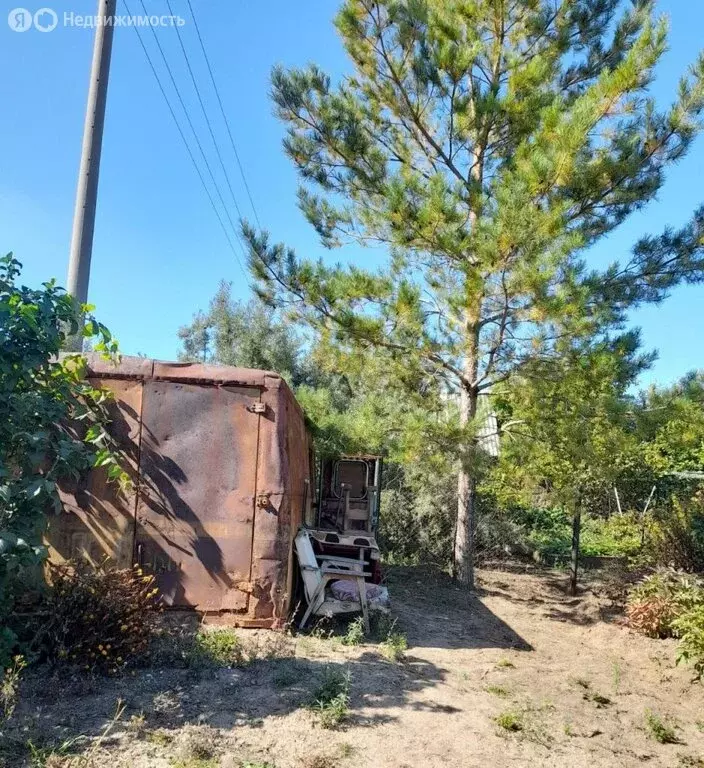 Участок в Нежинский сельсовет, СНТ Гвоздика, 221 (5.5 м) - Фото 0