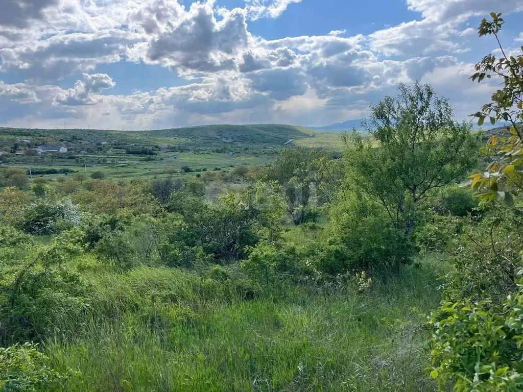 Участок в Крым, Феодосия муниципальный округ, с. Виноградное ул. ... - Фото 0