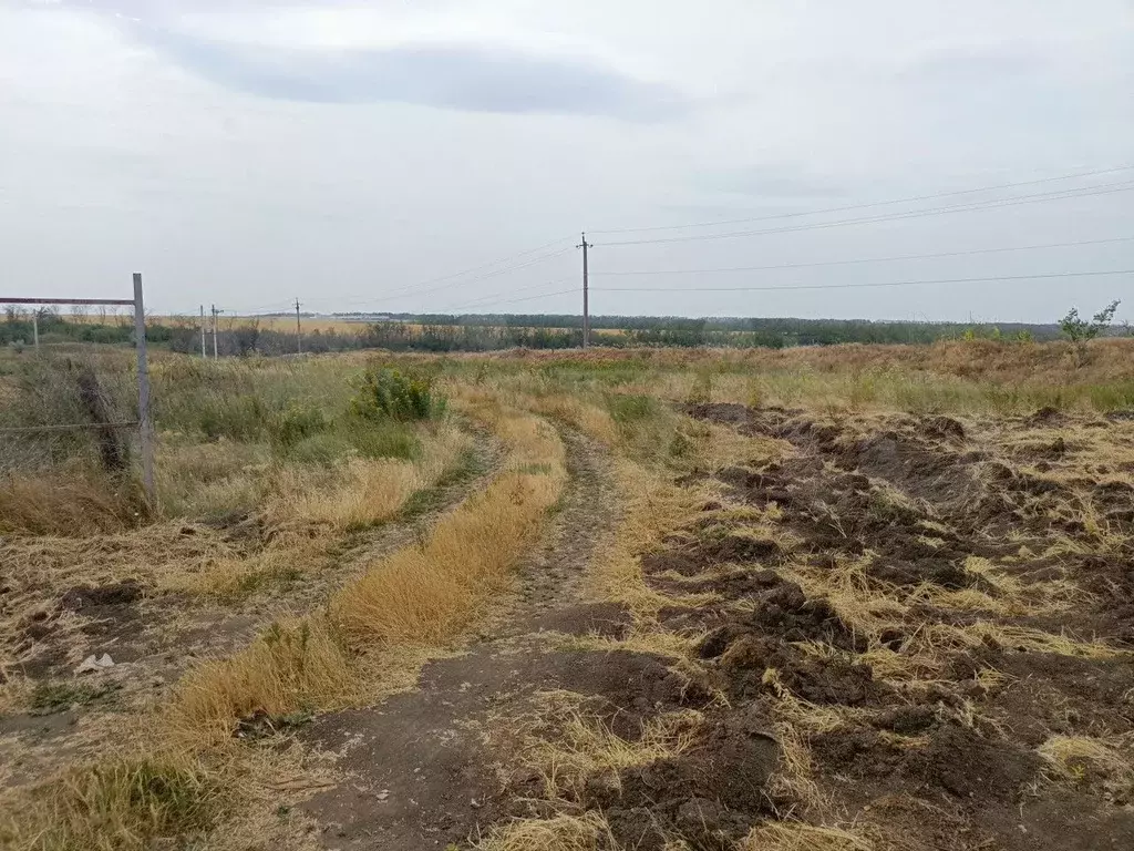 Участок 16 сот. (ИЖС) - Фото 0
