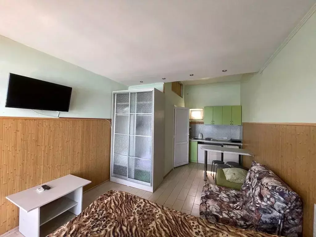 Студия Крым, Евпатория ул. Симферопольская, 99А (25.0 м) - Фото 1