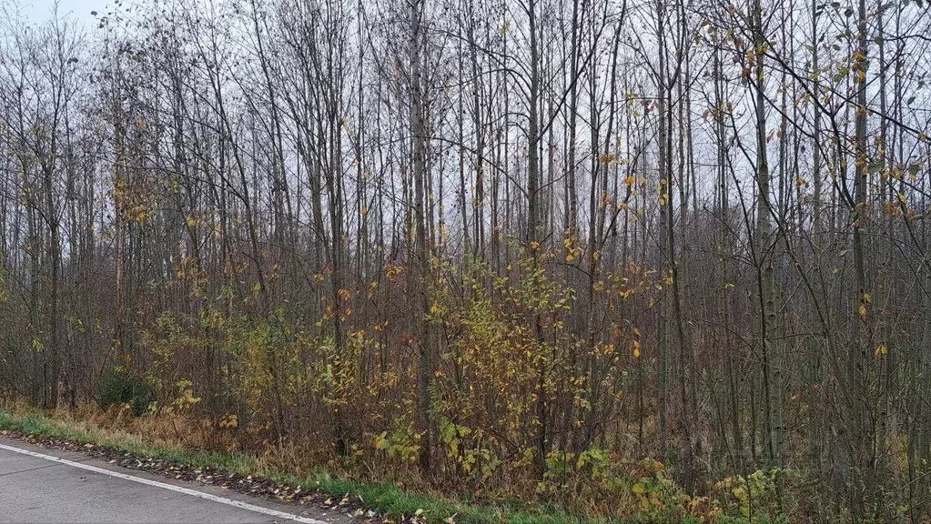 Участок в Московская область, Дубна Кентавр кп,  (30.0 сот.) - Фото 1