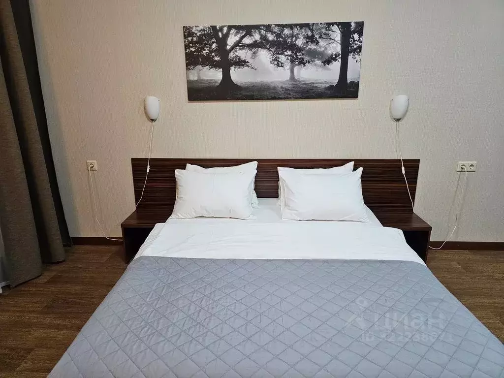 Комната Новосибирская область, Новосибирск Ельцовская ул., 8 - Фото 2