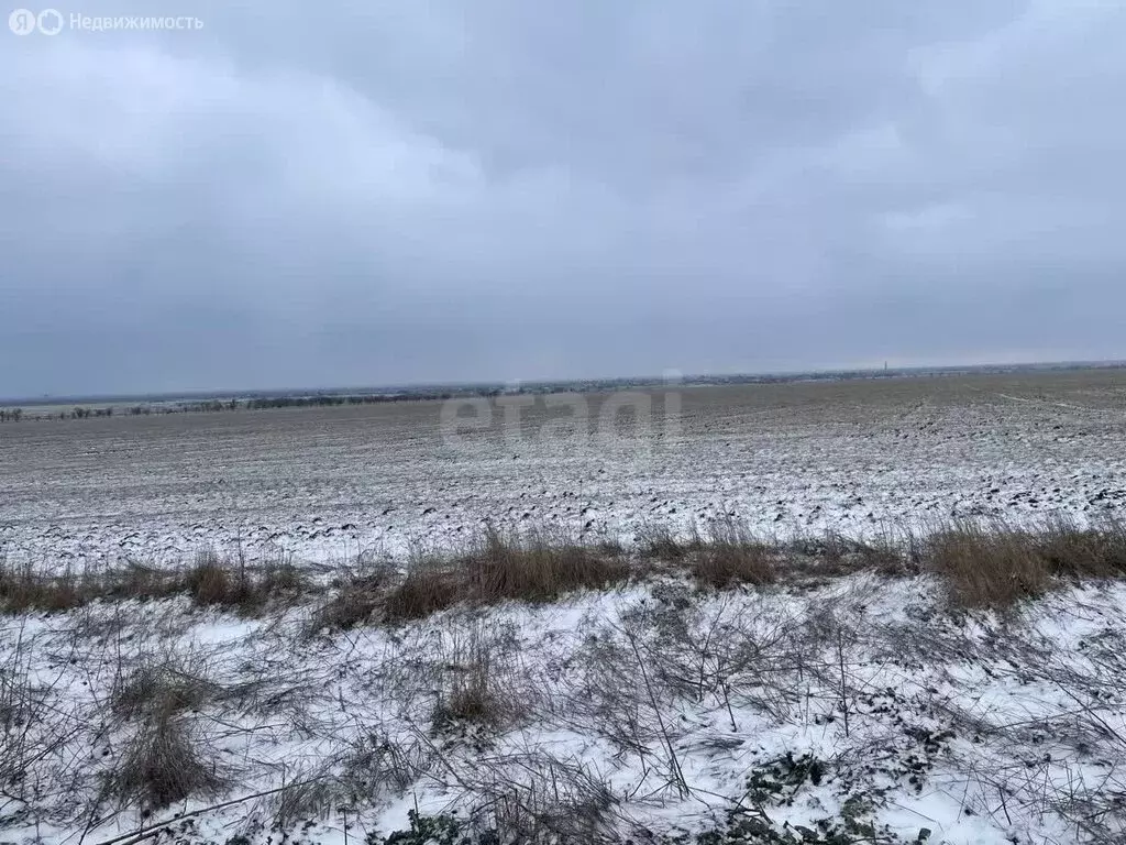 Участок в Ильичёво, Садовая улица (748.24 м) - Фото 2