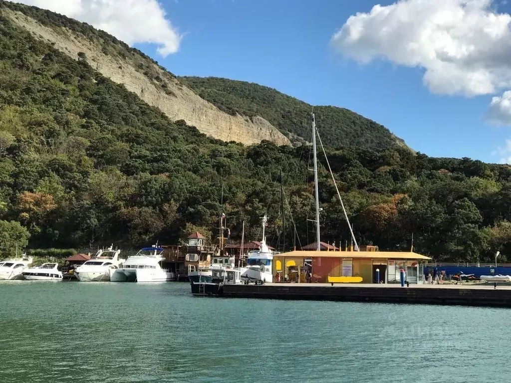 Помещение свободного назначения в Краснодарский край, Анапа ... - Фото 2