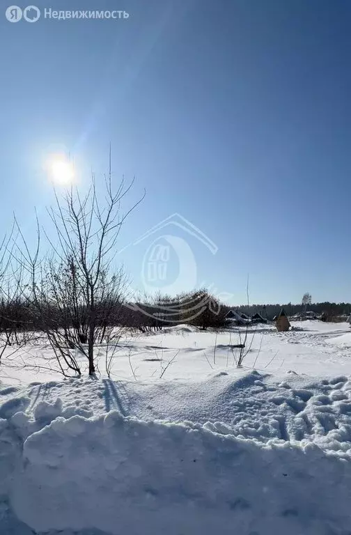 Участок в Алтайский край, городской округ Барнаул, посёлок Черницк ... - Фото 0