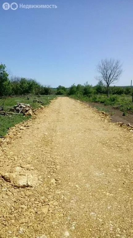 Участок в Родионово-Несветайский район, Кутейниковское сельское ... - Фото 0