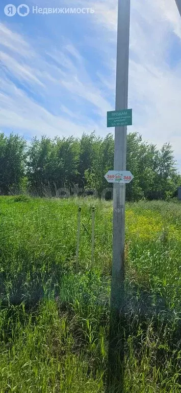 Участок в Тюмень, ТСН Лето-Парк, Водная улица (8 м) - Фото 2