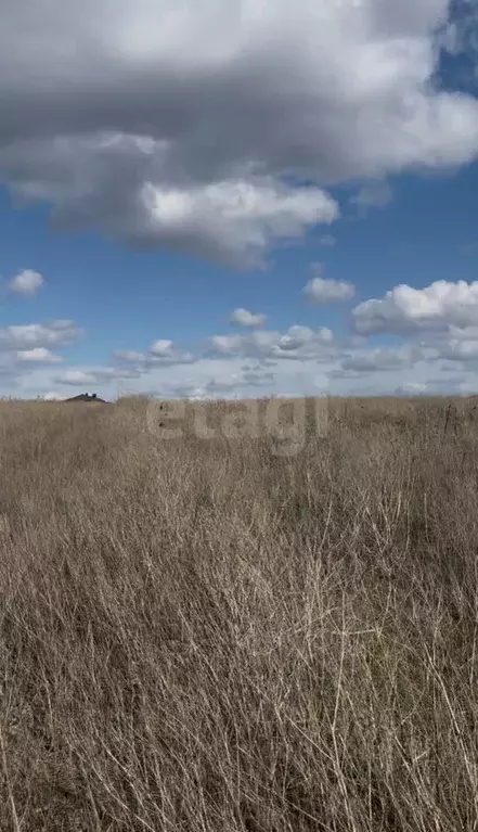 Участок в Ростовская область, Аксайский район, Щепкинское с/пос, пос. ... - Фото 1