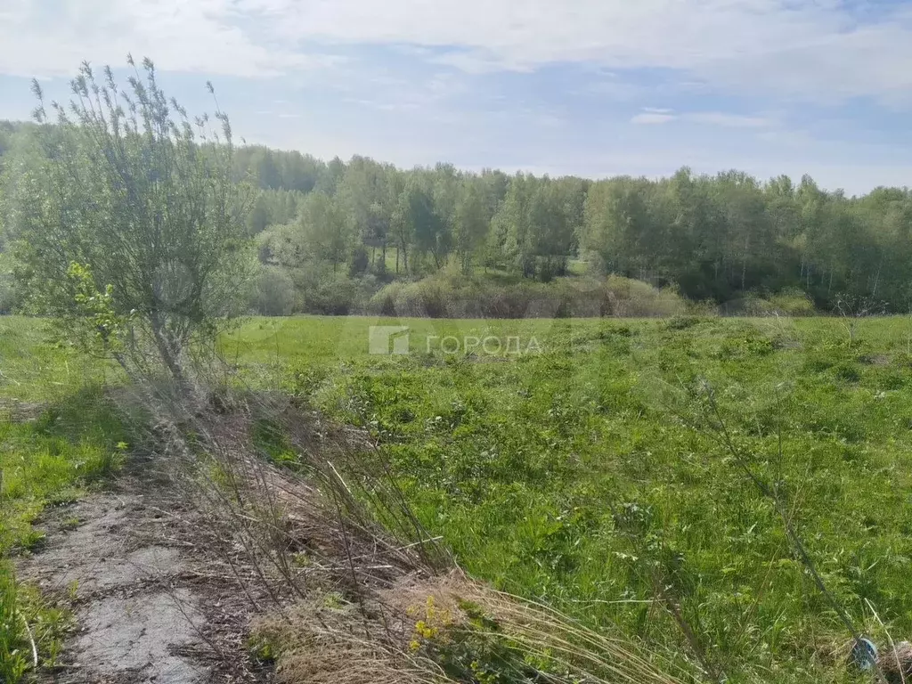 Участок 7 га (СНТ, ДНП) - Фото 0