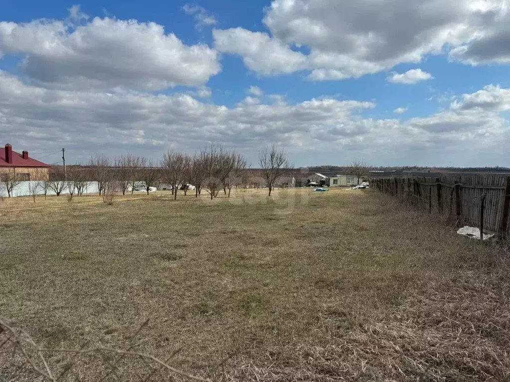 Участок в Ростовская область, Мясниковский район, Краснокрымское ... - Фото 2