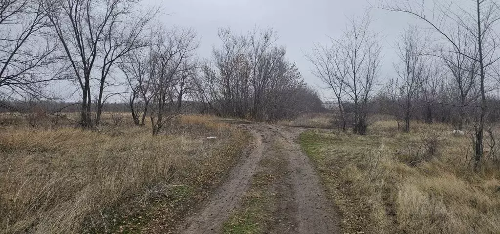 Участок в Саратовская область, Маркс ул. Лаврова (6.0 сот.) - Фото 1