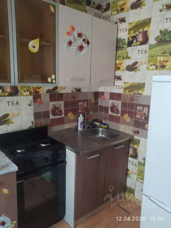 1-к кв. Забайкальский край, Чита Кайдаловская ул., 16Б (30.2 м) - Фото 2