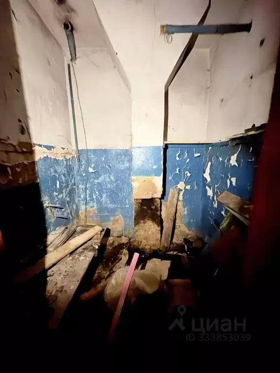 Помещение свободного назначения в Псковская область, Остров ул. 25 ... - Фото 1
